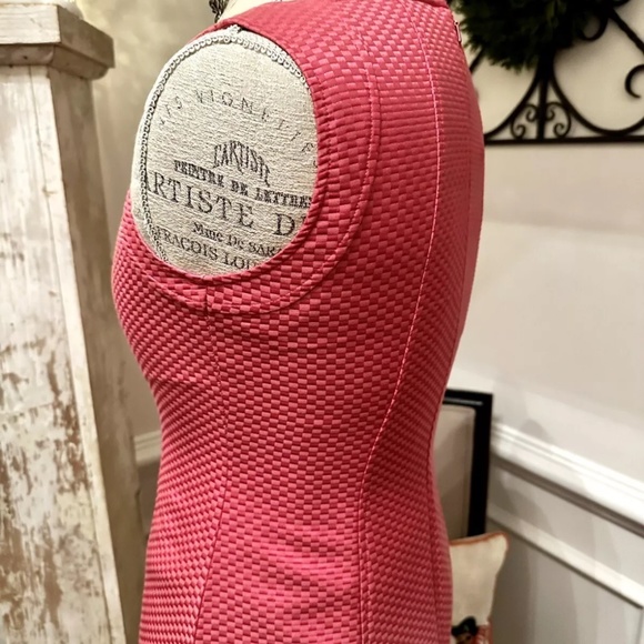 Talbots 1947 Womens Pink Waffle Pique Sheath Dress Size: 2P New with Tags - Picture 7 of 8